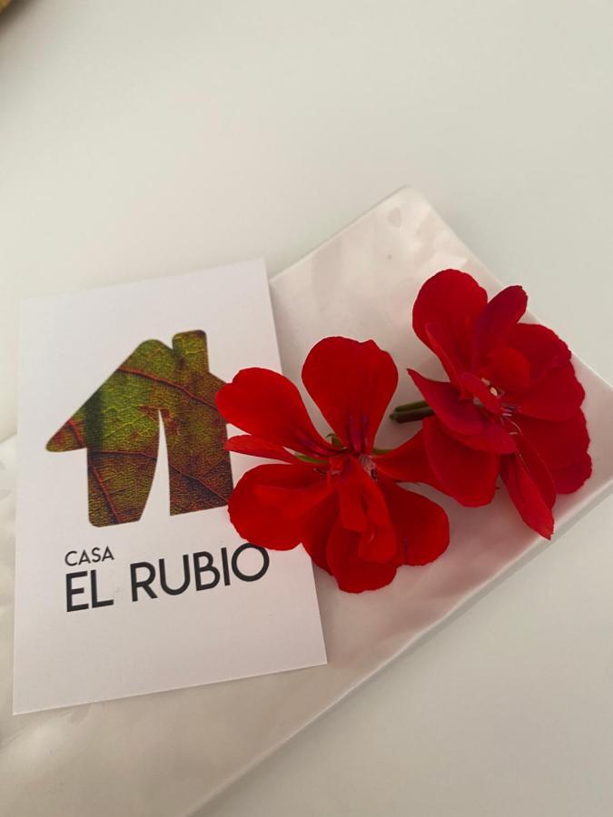 Casa El Rubio Villa San Vicente de la Sonsierra Eksteriør billede